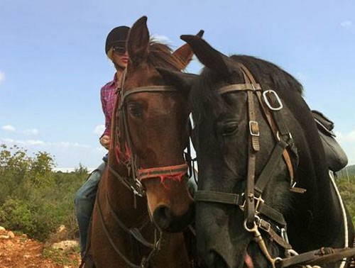 בשביל האושר - סוסים וריינג'ר